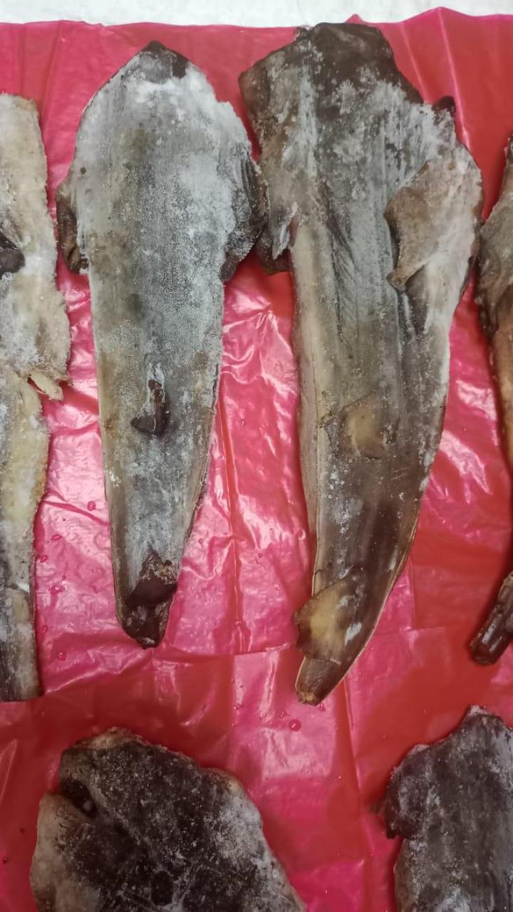 Incautan carne de tiburón en Restaurante de Bogotá 4 Incautan carne de tiburón en Restaurante de Bogotá