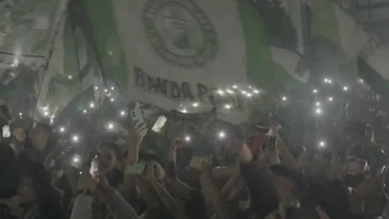 ¡Como locales! impresionante banderazo verdolaga en Bogotá