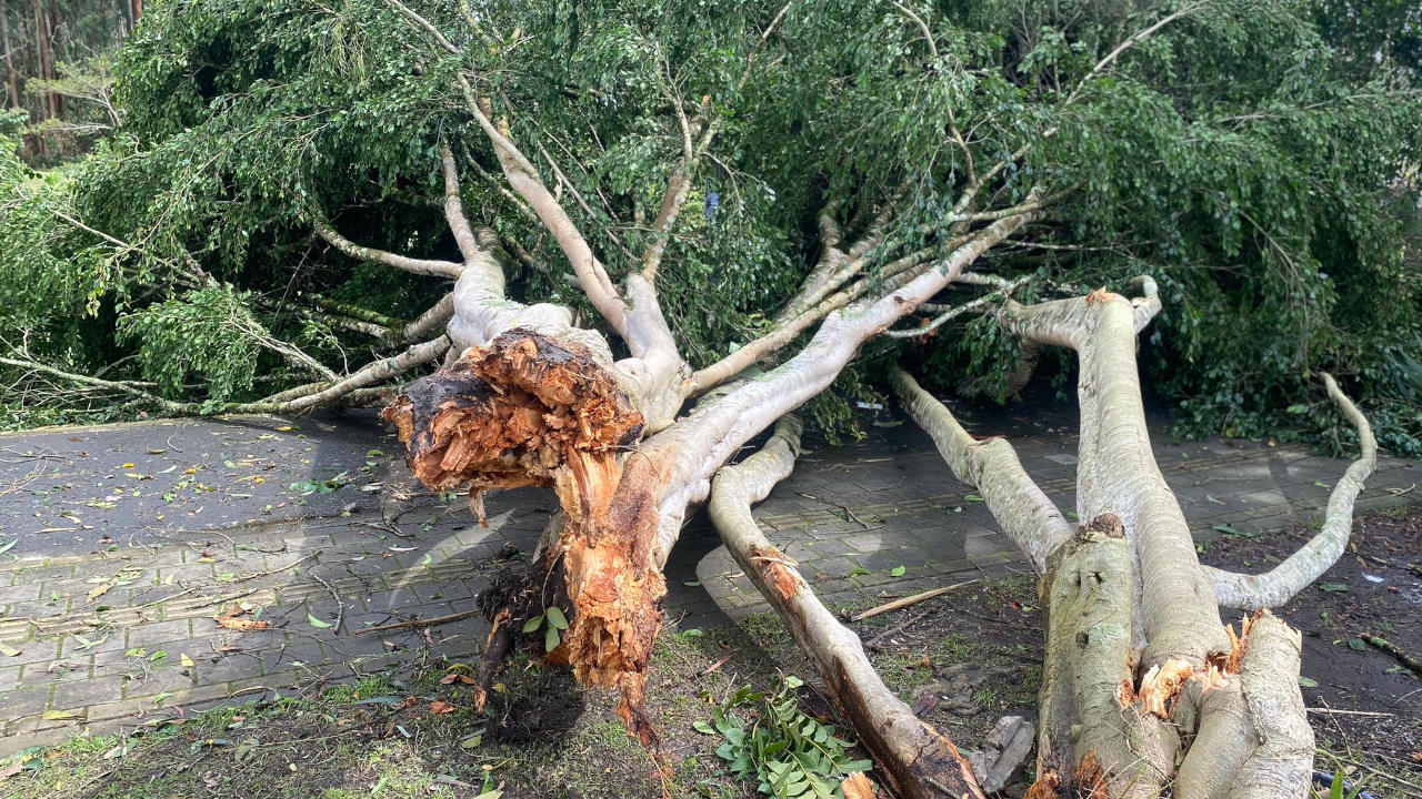 Fuerte vendaval en Rionegro provocó daños estructurales y cierres viales