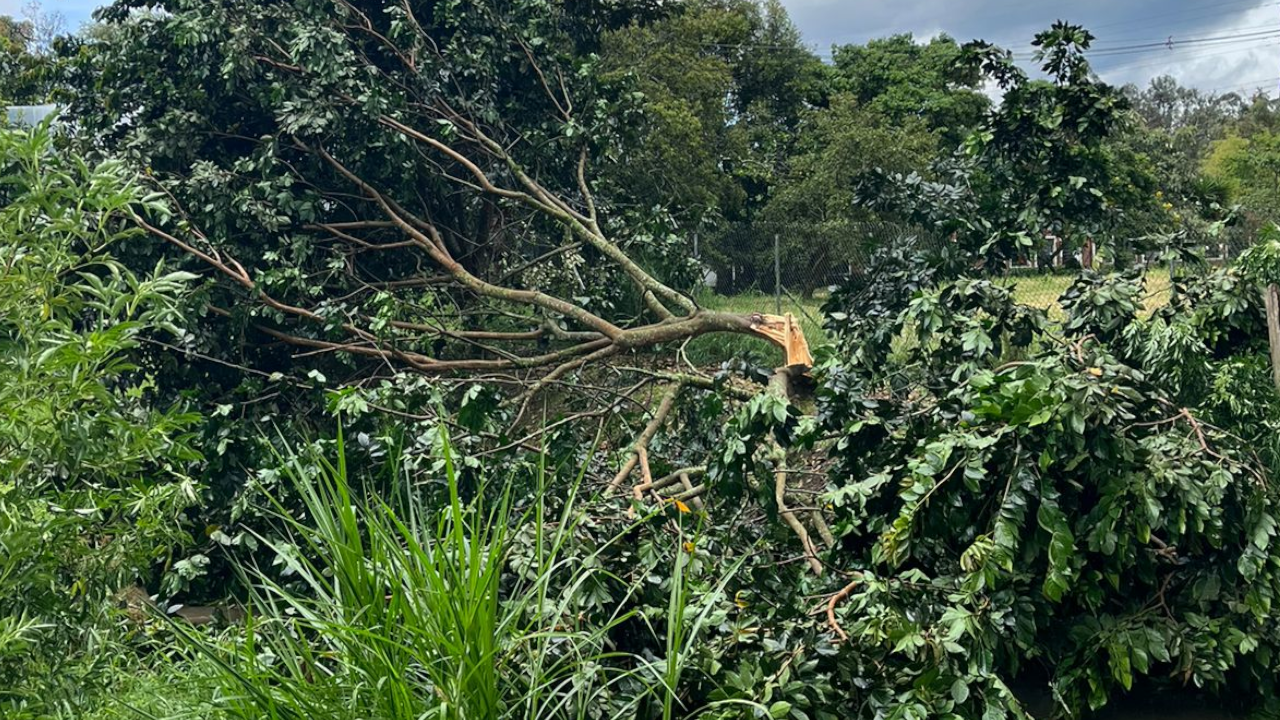 Fuerte vendaval en Rionegro provocó daños estructurales y cierres viales