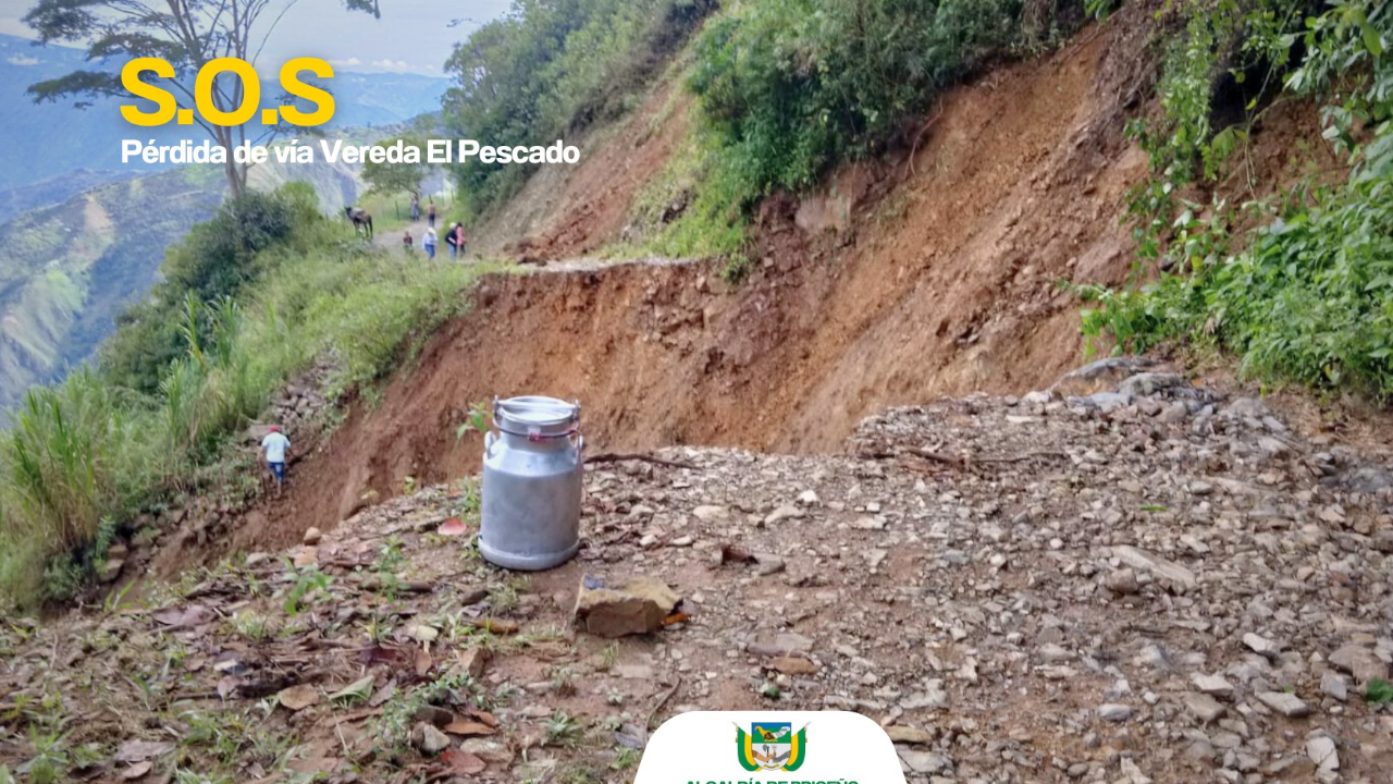 Fuertes lluvias dejaron graves afectaciones en Briseño, Antioquia