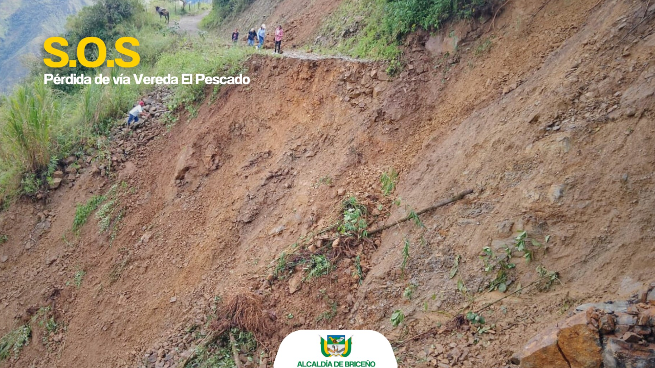 Fuertes lluvias dejaron graves afectaciones en Briseño, Antioquia