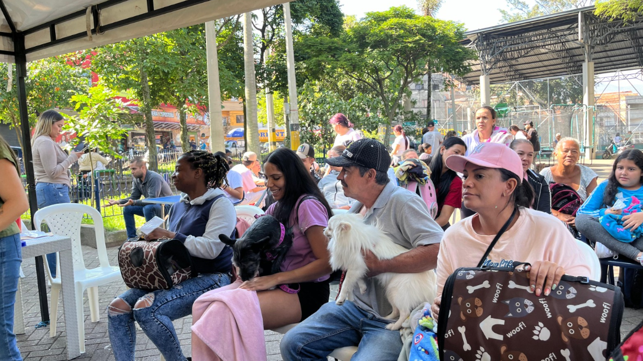 Más de mil animales de compañía han sido esterilizados