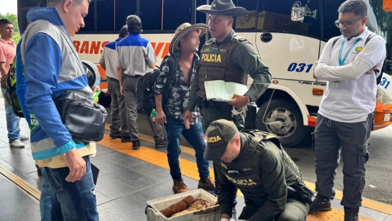 Incautan más de tres kilos de carne de armadillo en la Terminal del Norte