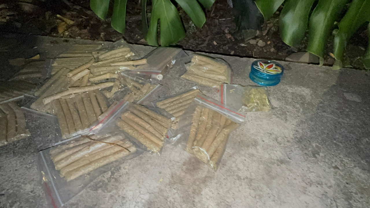 Incautaron 100 cigarrillos de marihuana en el Puente de la 4 Sur