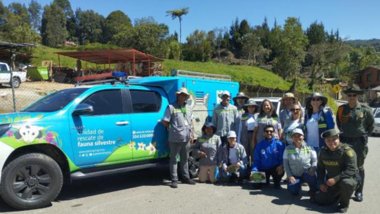 ¡Muy triste! Murió un mapache rescatado de tráfico ilegal en Medellín