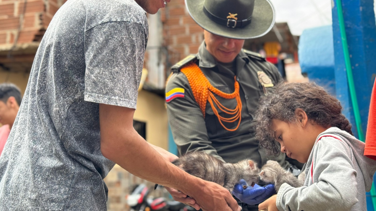 Más de 130 mascotas reciben atención veterinaria en El Sinaí