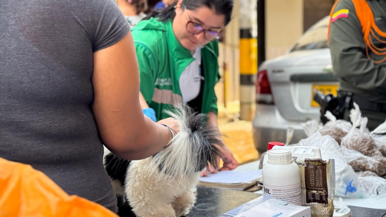 Más de 130 mascotas reciben atención veterinaria en El Sinaí2