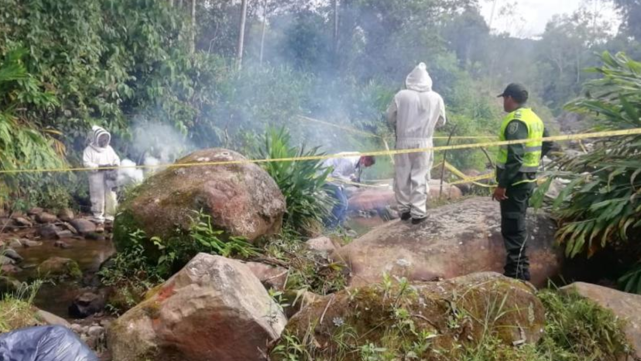 Seis menores y un bombero fueron atacados por abejas