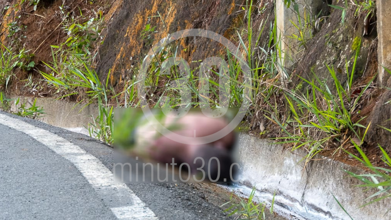 Hallan cuerpo de un hombre en la Autopista Medellín-Bogotá