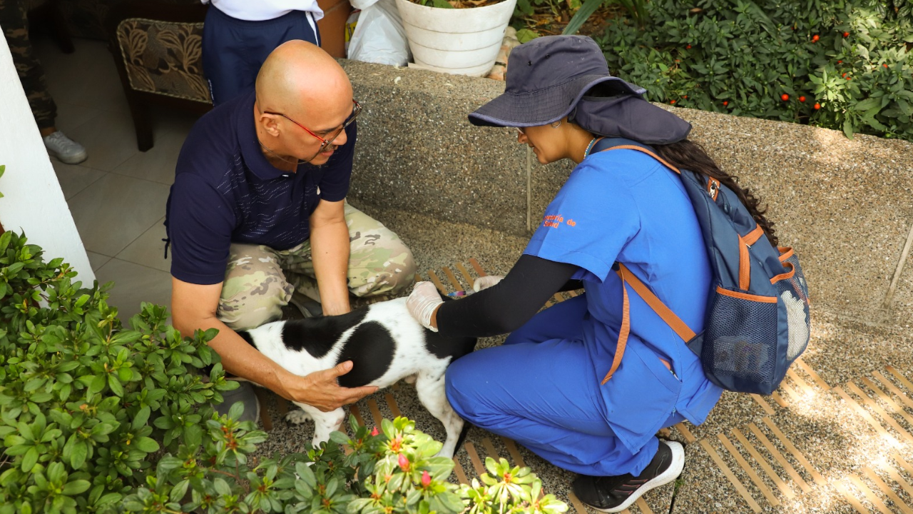 Medellín alcanza récord histórico con vacunación contra la rabia