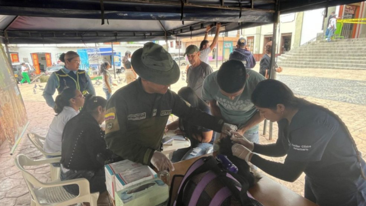 Policía Ambiental rescata más de 35 mascotas víctimas de maltrato