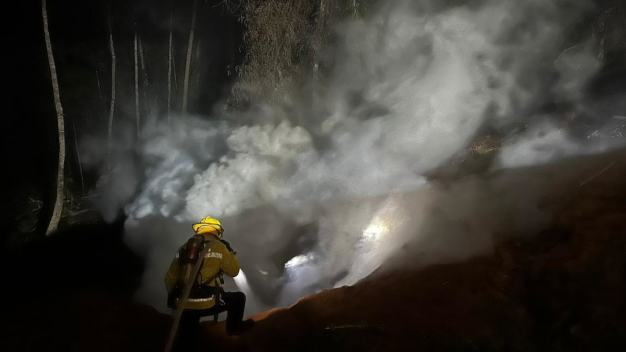 33 incendios forestales en Antioquia: autoridades lanzan recomendaciones para evitar desastres 