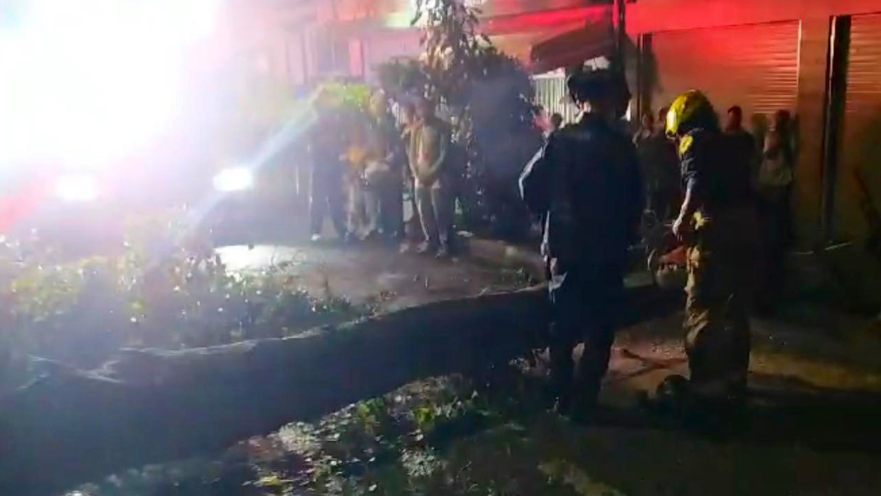 Caída de un árbol en Medellín dejó dos policías heridos