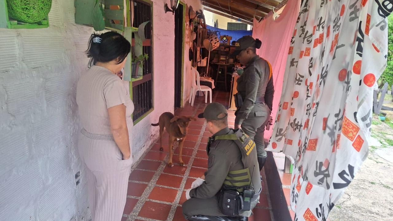 Denuncia de maltrato animal llevó a la Policía a rescatar un perrito en San Cristóbal