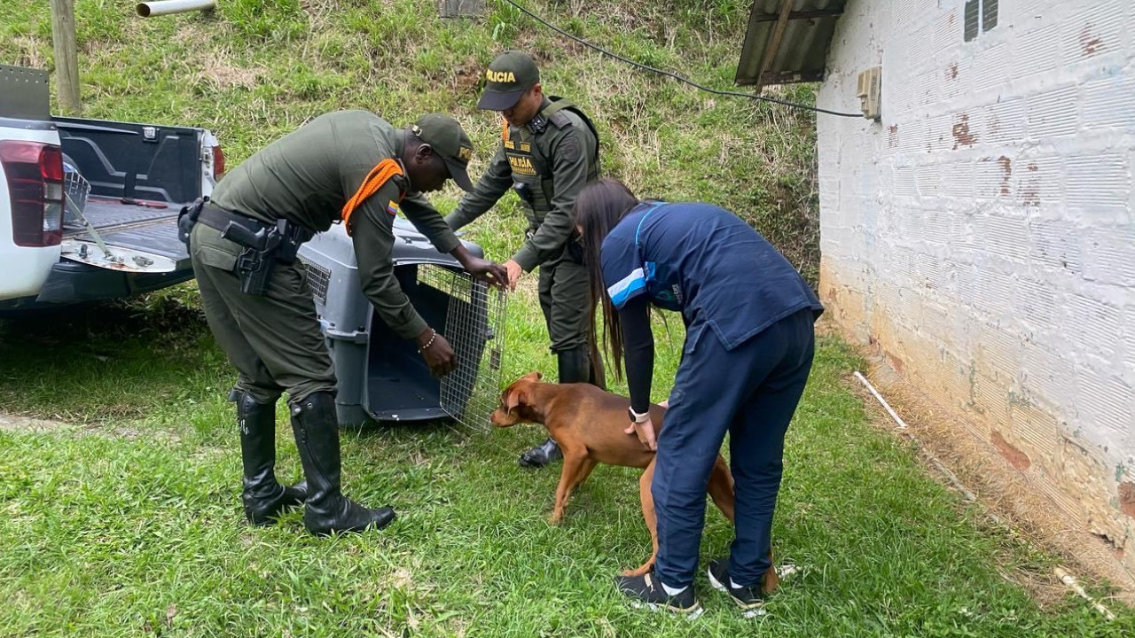 Denuncia de maltrato animal llevó a la Policía a rescatar un perrito en San Cristóbal