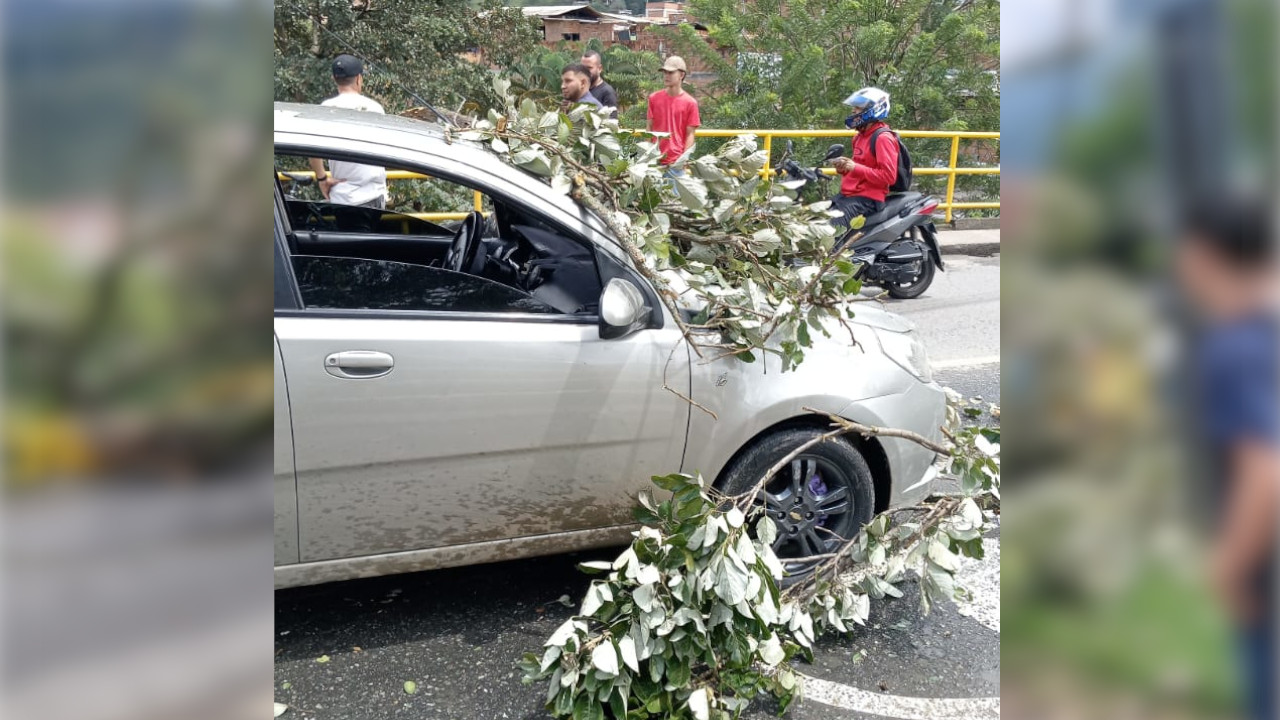 Árbol colapsó sobre un carro y bloqueó entrada principal a Copacabana