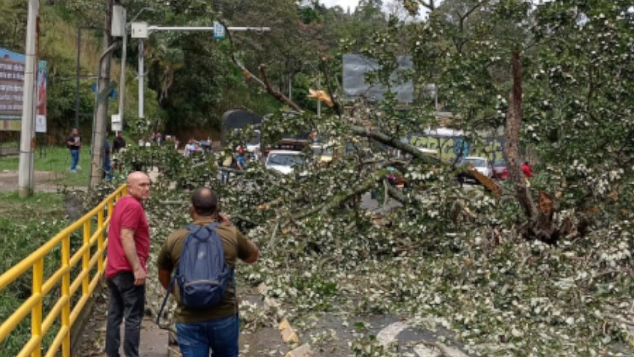 Árbol colapsó sobre un carro y bloqueó entrada principal a Copacabana