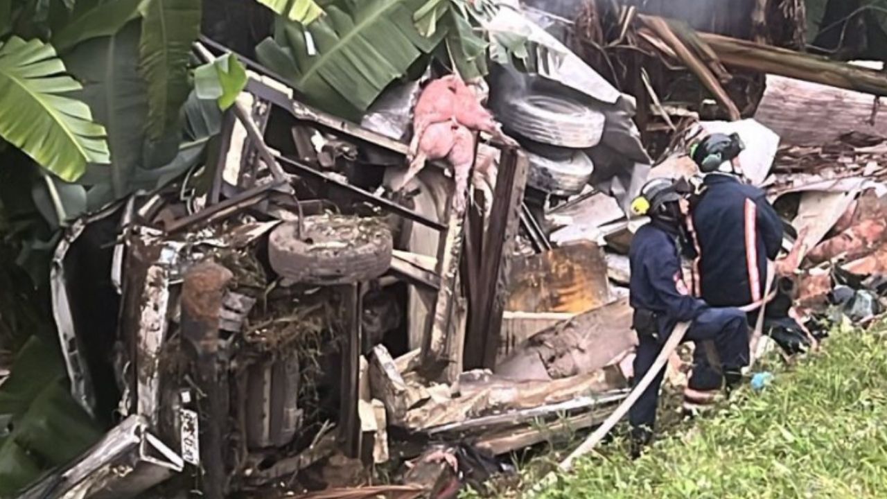camion con cerdos volcado