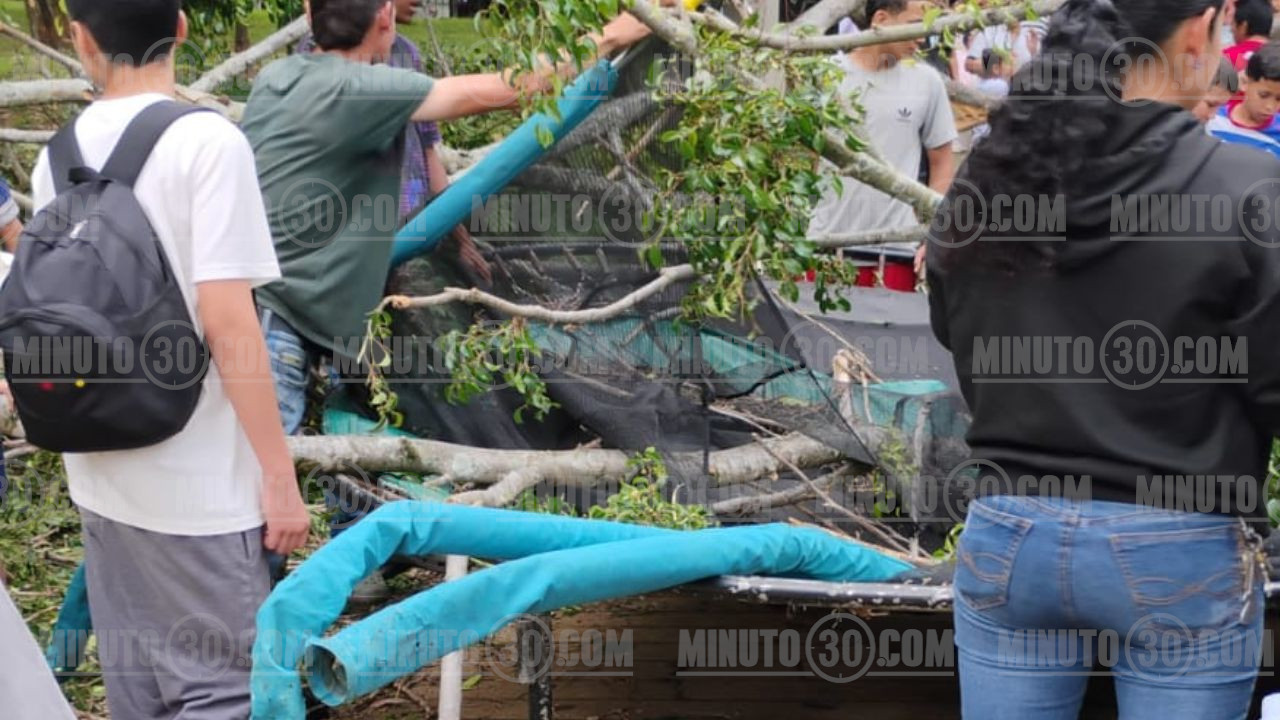 Árbol cae en parque Villa Hermosa y deja varios heridos