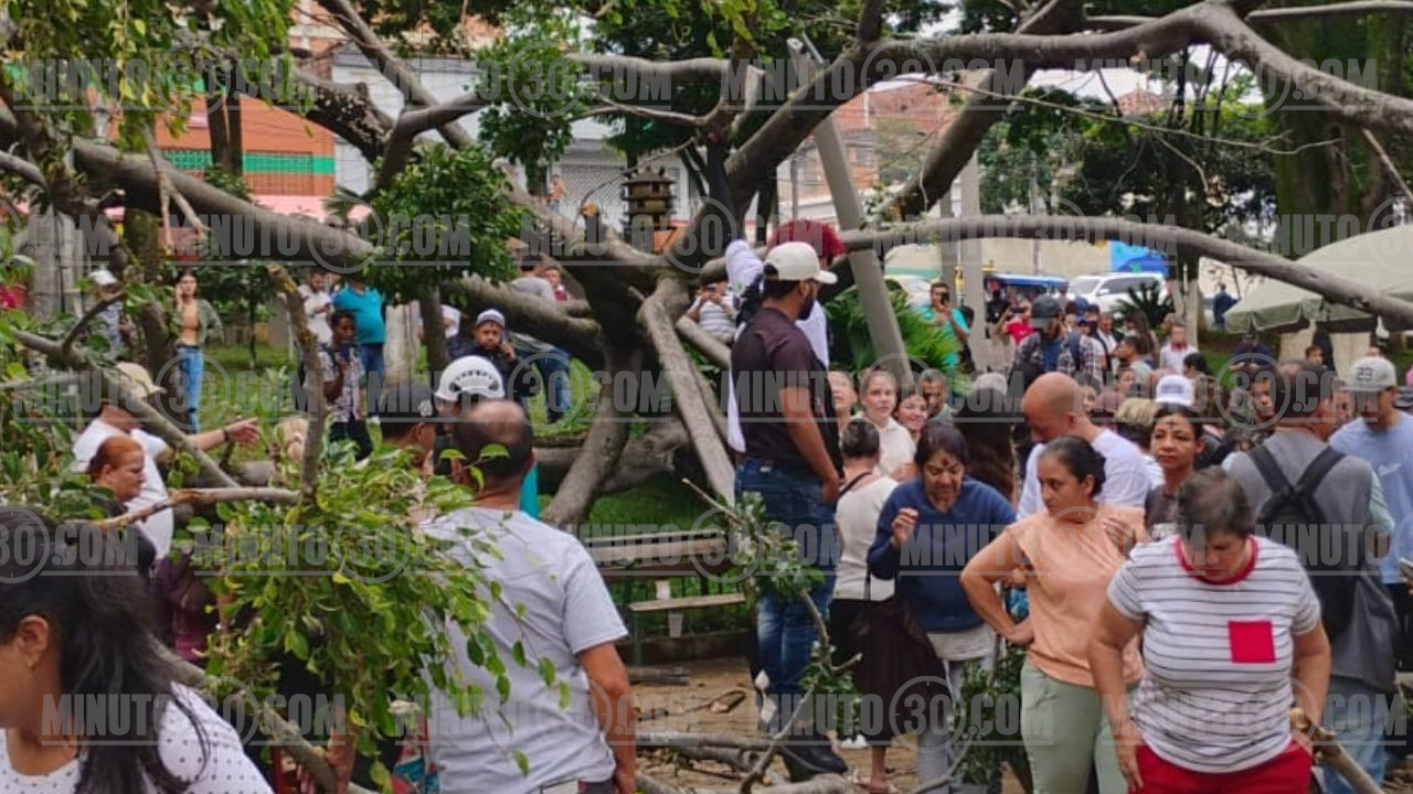 Árbol cae en parque Villa Hermosa y deja varios heridos