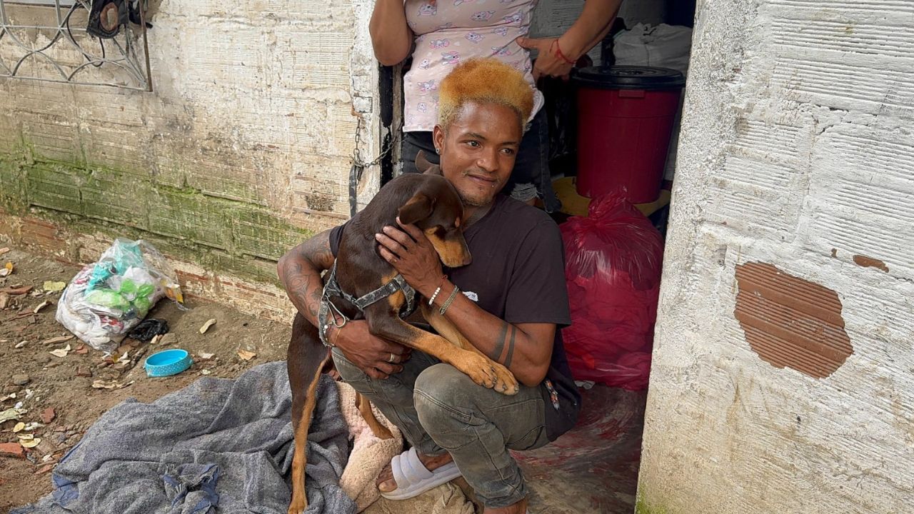 Despliegan operativo de rescate animal en zona de emergencia de Altavista