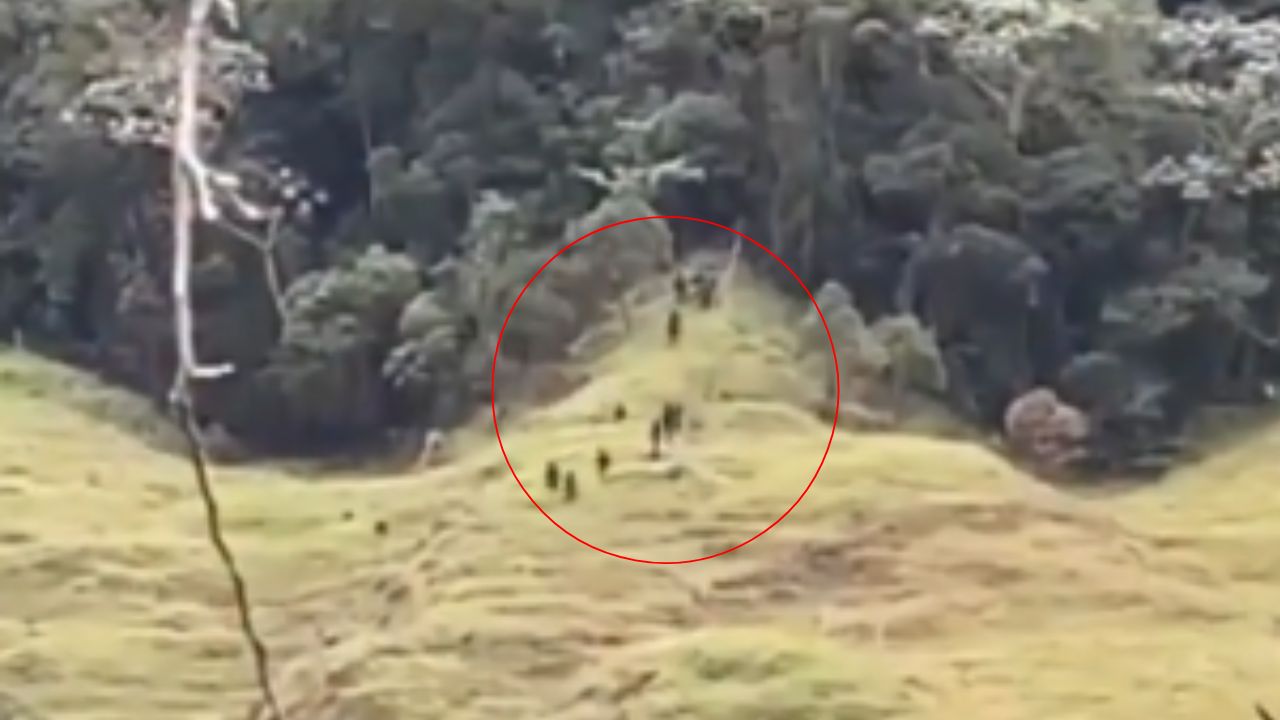 Denuncian presencia de grupos armados en zonas rurales de Betulia y Urrao
