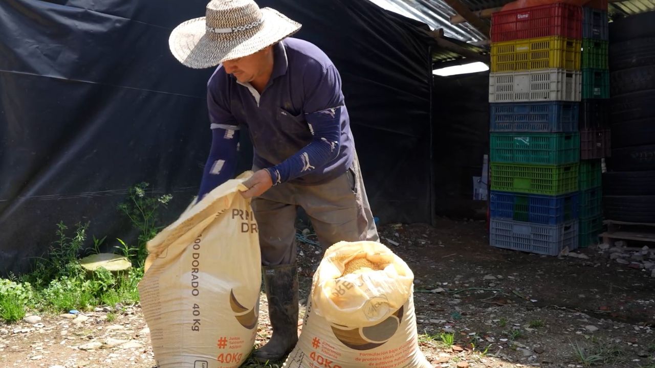 Medellín impulsa el campo con nuevos incentivos para productores agropecuarios
