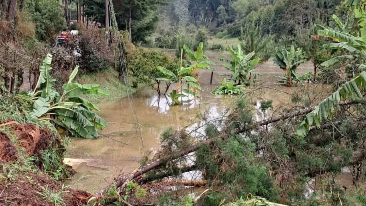 Guarne registra varias emergencias por lluvias intensas