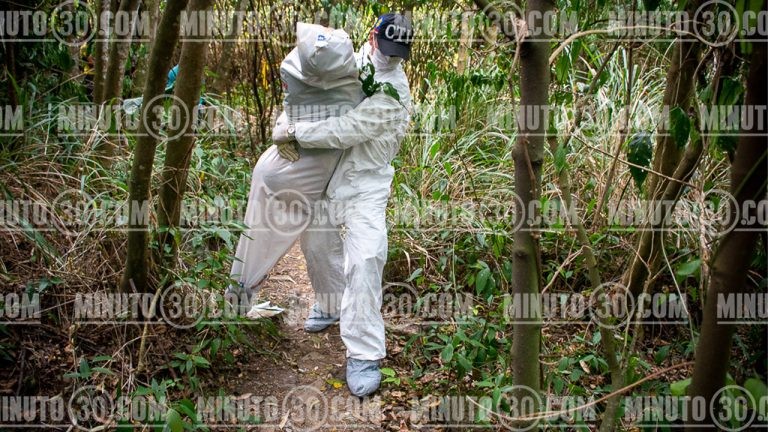 ¡Como sería el susto! Caminaban cuando lo vieron: se colgó de un árbol y murió