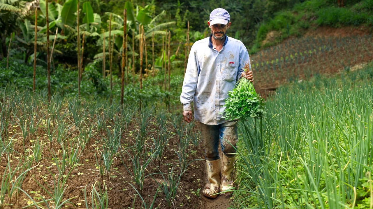 Medellín capacita a 96 agricultores como proveedores directos del PAE