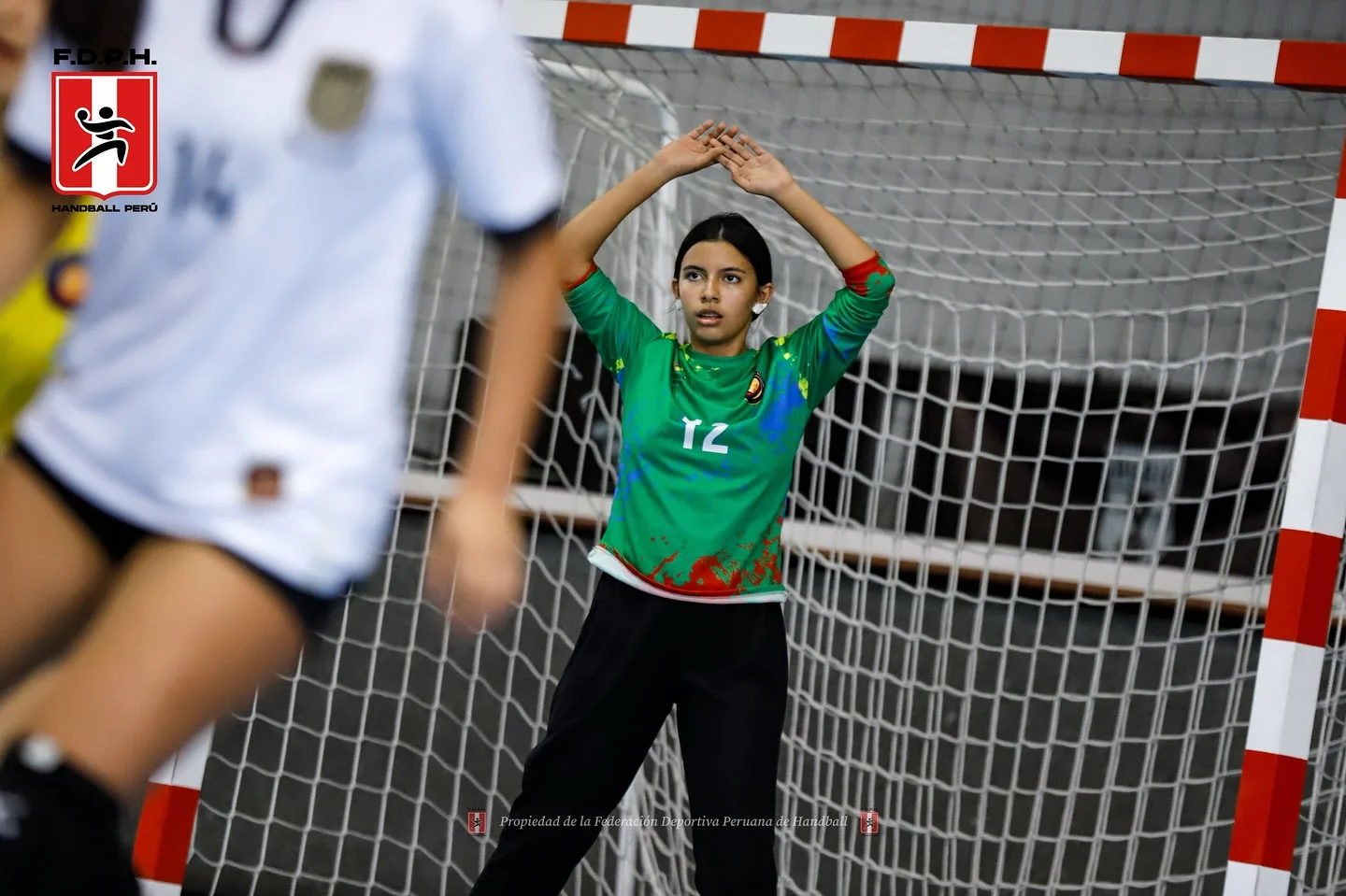 Selección Colombia de balonmano