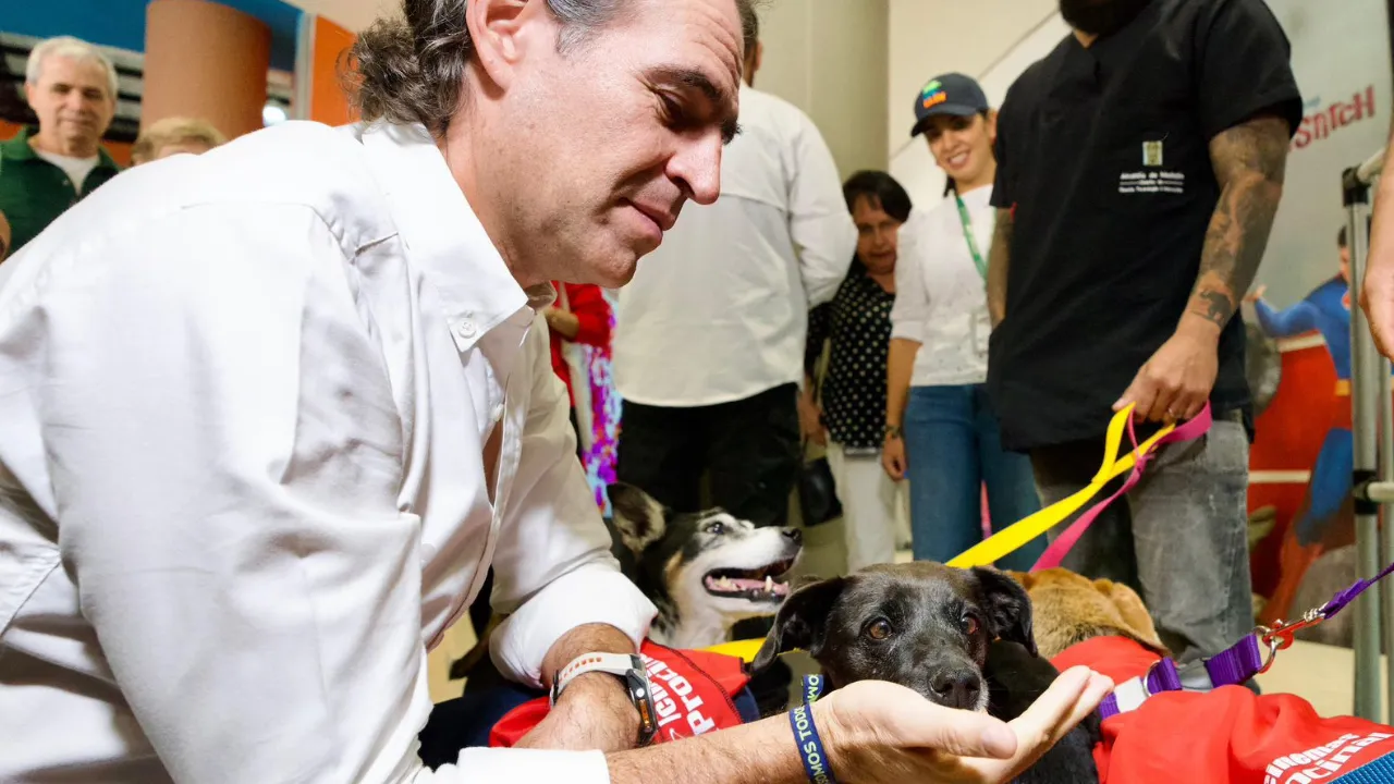  más de 2 mil animales de La Perla buscan un hogar