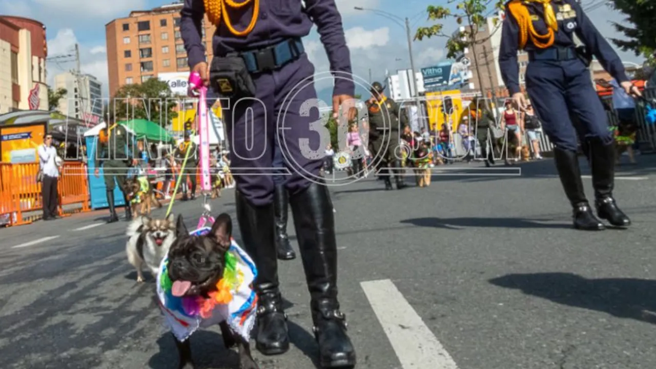 ¡Este domingo los peludos se toman Medellín! Caminata canina llega a la Feria de las Flores