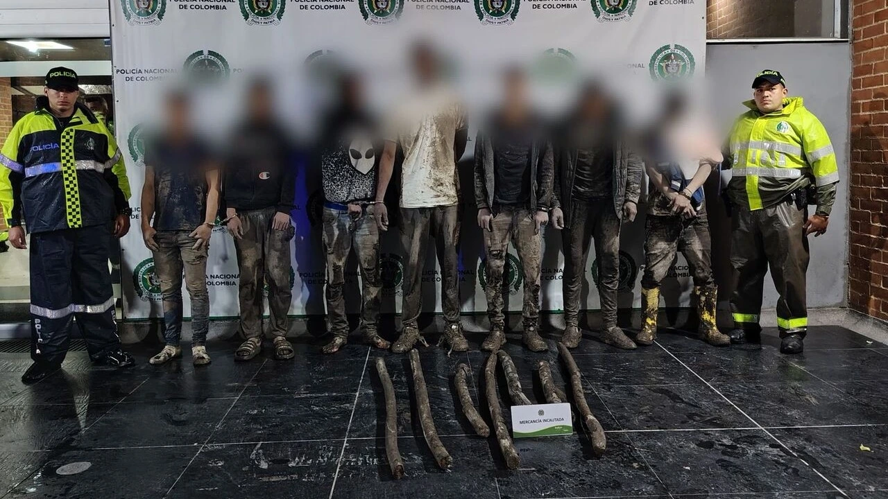 ¡Siete hombres detenidos en plena acción! Robaban fibra óptica del TransMilenio y quedaron grabados