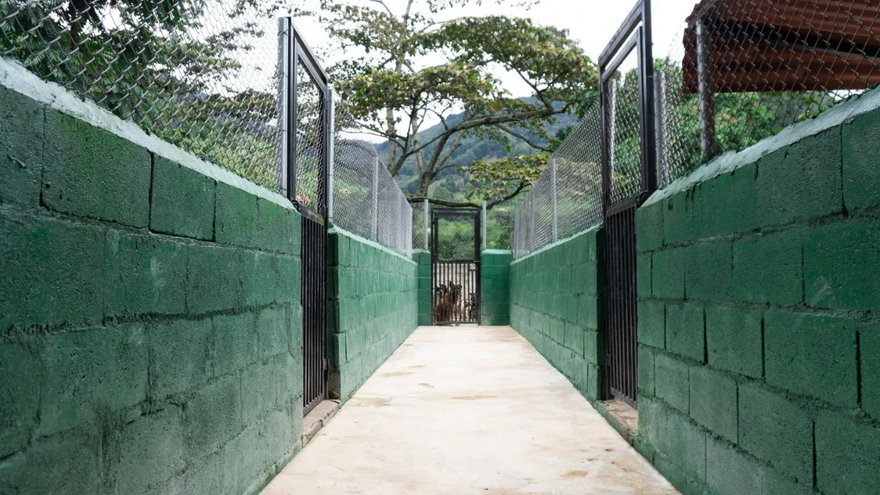 El Centro de Bienestar Animal La Perla logra cifras históricas de rescates y adopciones