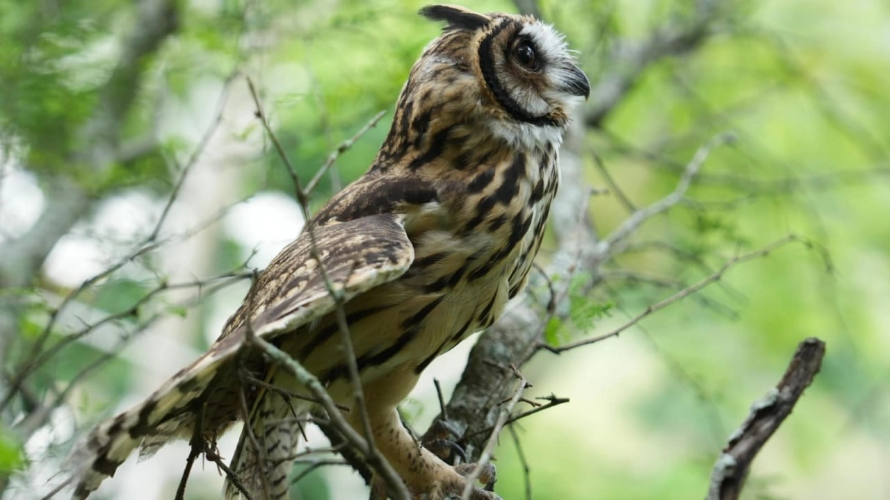 Corantioquia impulsa la sostenibilidad y la conservación en Antioquia con grandes proyectos ambientales