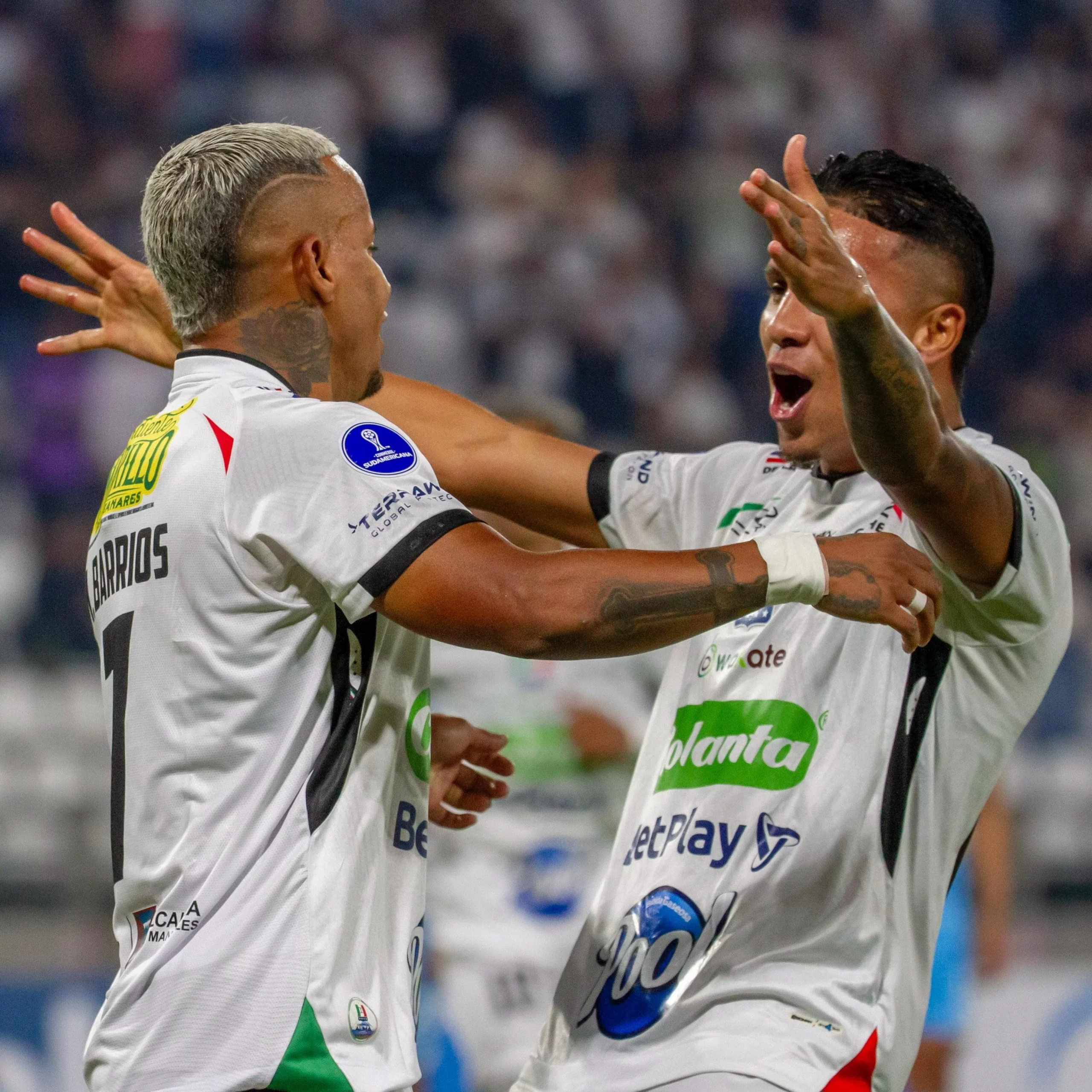 Copa Sudamericana
