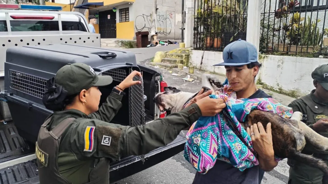 ¡No más crueldad! Medellín activa rutas para denunciar el maltrato animal