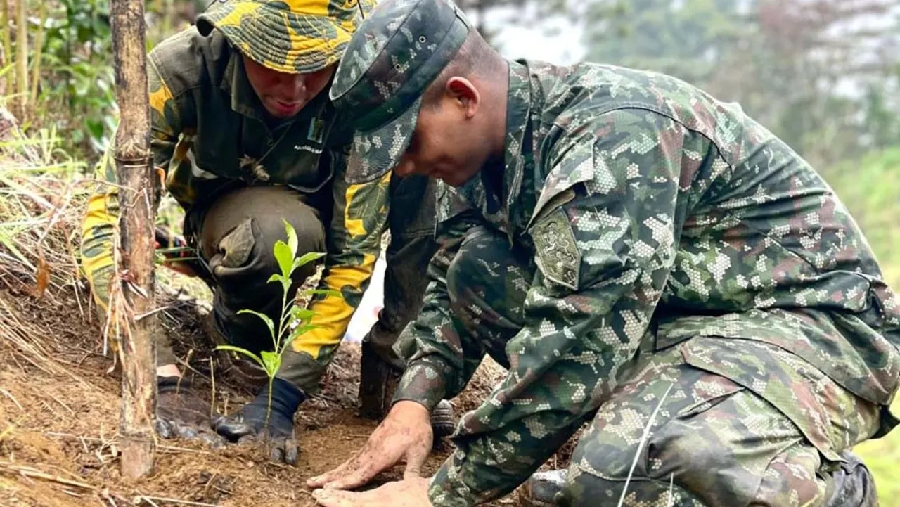 ¡Medellín, más verde que nunca! La ciudad apunta a superar los 100.000 árboles sembrados desde el 2024