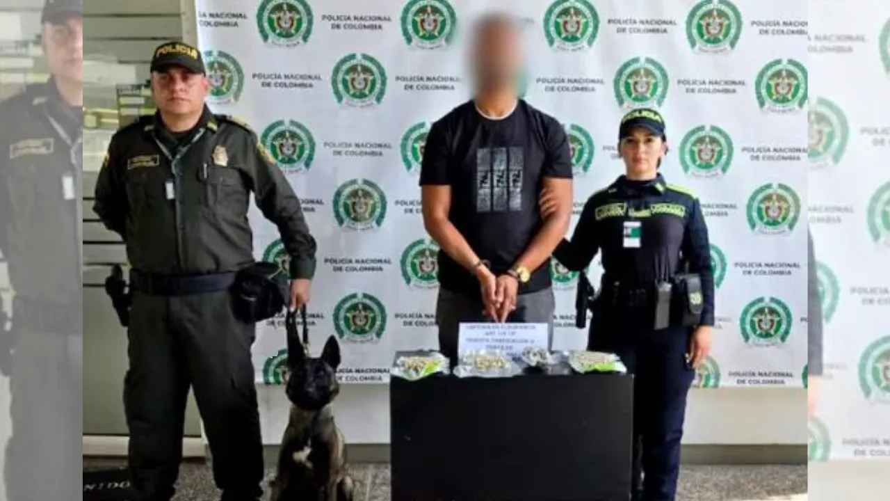 ‘Molly’ olfateó marihuana camuflada en el aeropuerto José María Córdova: hay un capturado