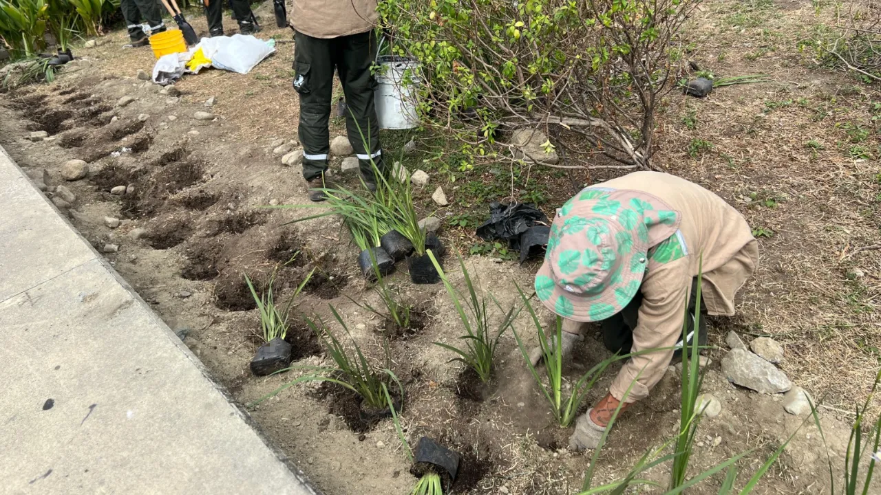 Parque Arví ampliará gestión ambiental en Medellín