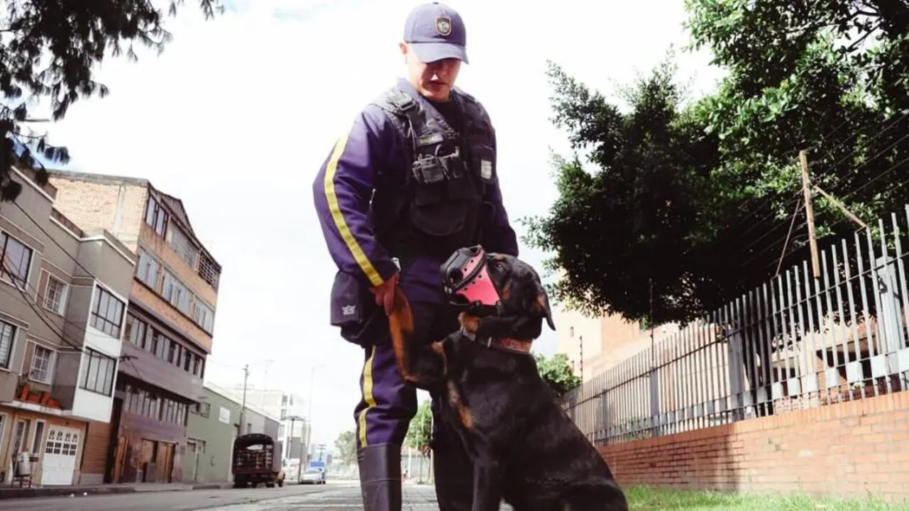 ¡Un paso adelante en el bienestar animal! Secretaría de Salud de Bogotá apuesta por la seguridad sin caninos