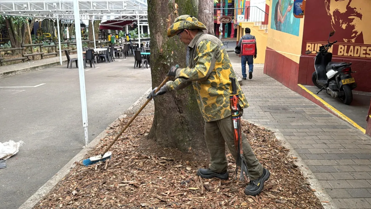Descuido ciudadano deja 20 árboles menos en Medellín