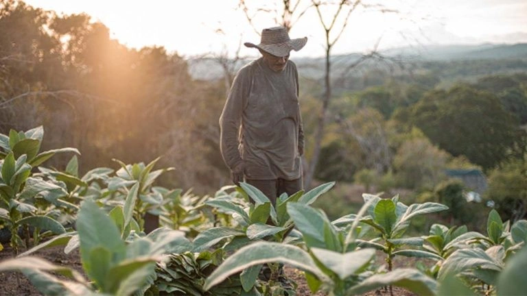 ¡Investigan desvío de 100 mil millones de pesos! Era para compra de tierra de la ANT y habría terminado «en otros bolsillos»