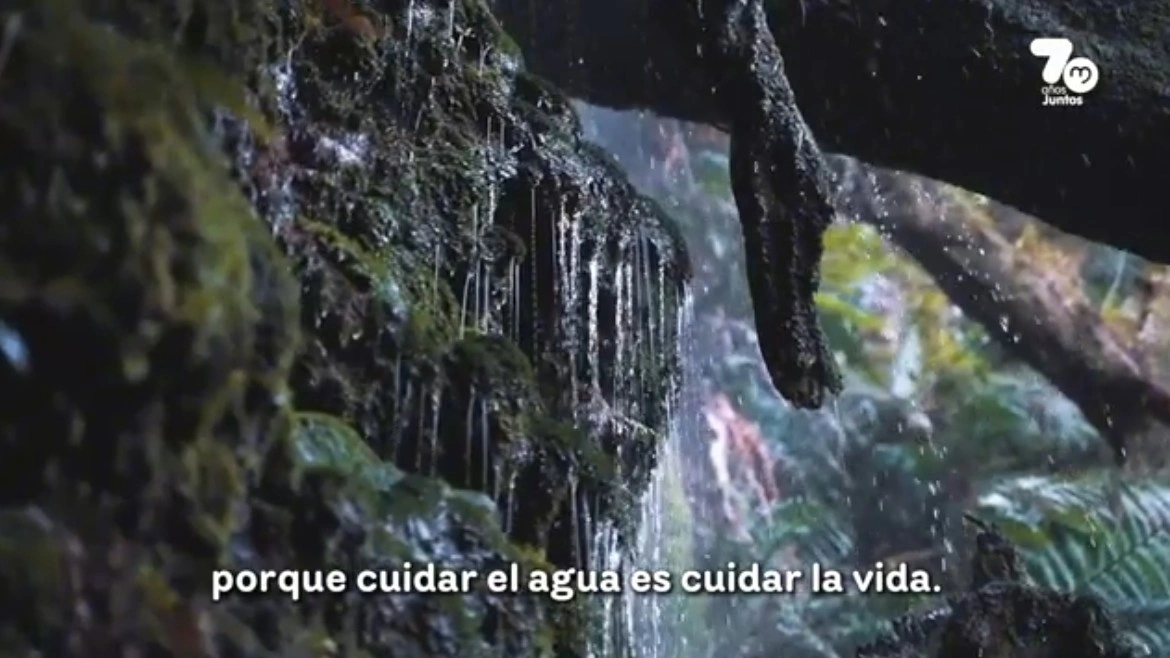 EPM y Cuenca Verde: la alianza estratégica que ¨siembra¨ agua para el futuro de Antioquia