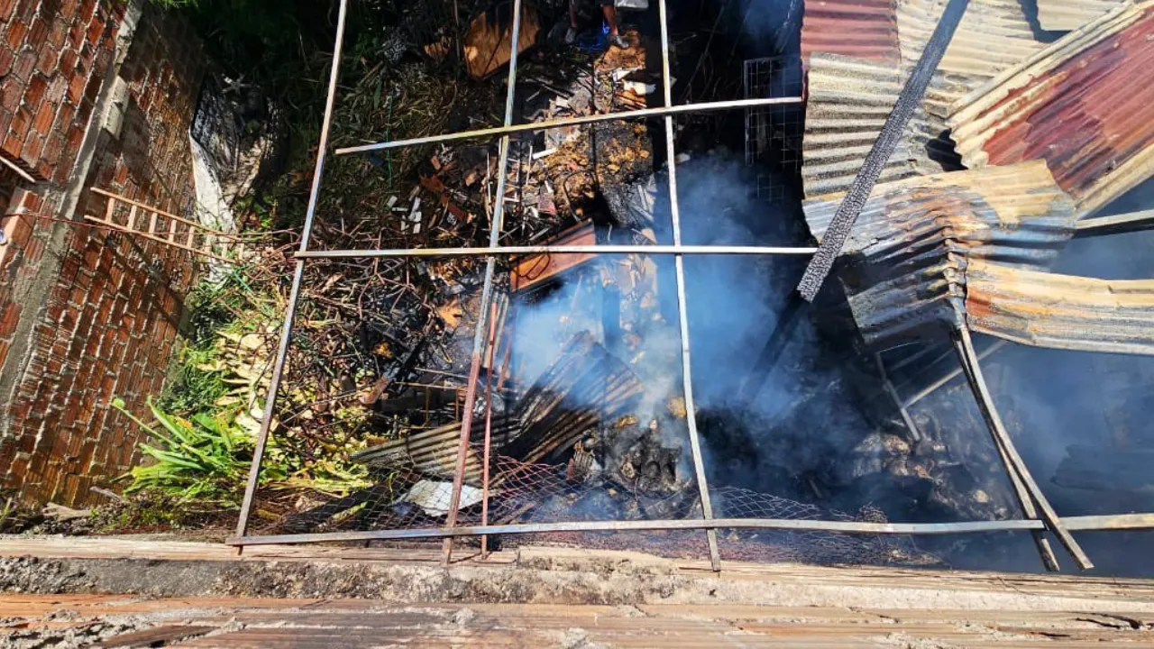 Bomberos controlaron el incendió en Andalucía que dejó dos lesionados