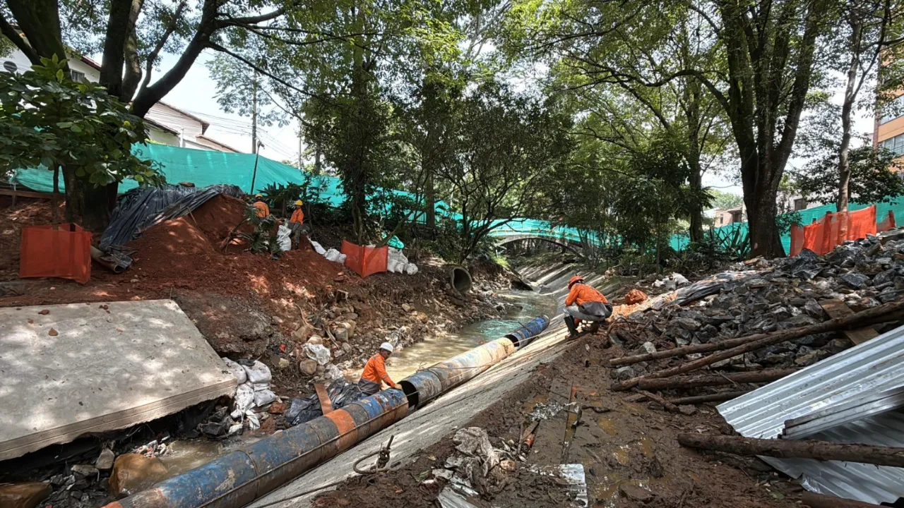 Casi 3 mil metros cúbicos de basura recogida y más de 500 animales atendidos en medio de la lluvia