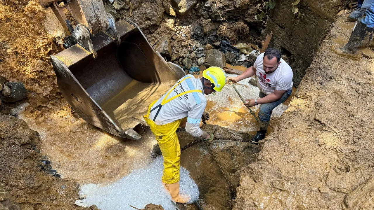 Casi 3 mil metros cúbicos de basura recogida y más de 500 animales atendidos en medio de la lluvia