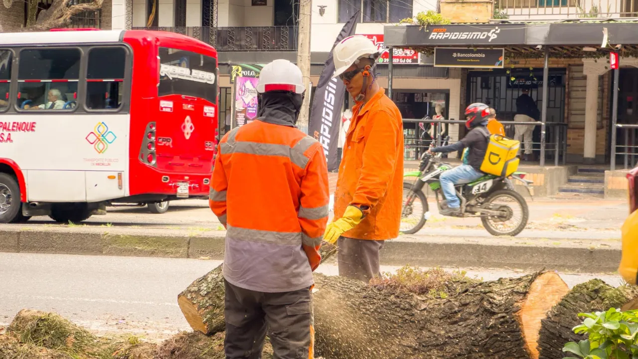Ya han intervenido más de 300 que estaban a punto de caer en Medellín